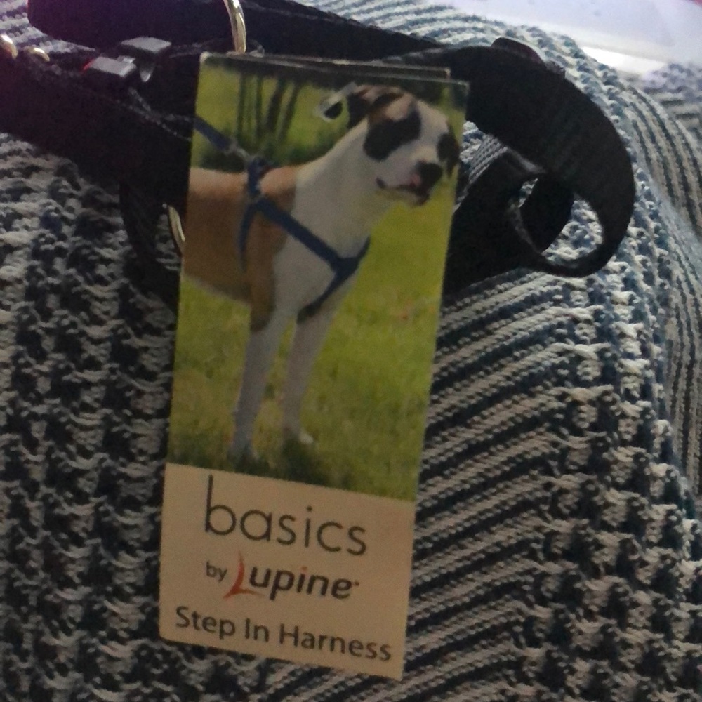 Lupine Adjustable Black Dog Harness NWT